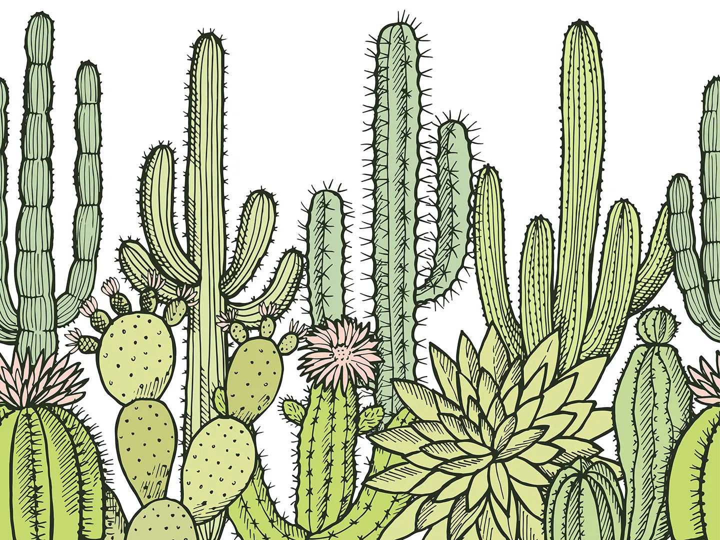 Where a Friendly Desert Garden Grows