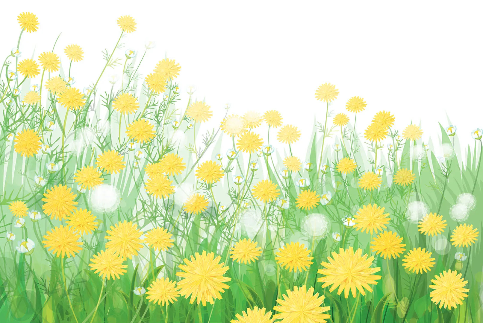 Where a Thousand Little Suns Bloom