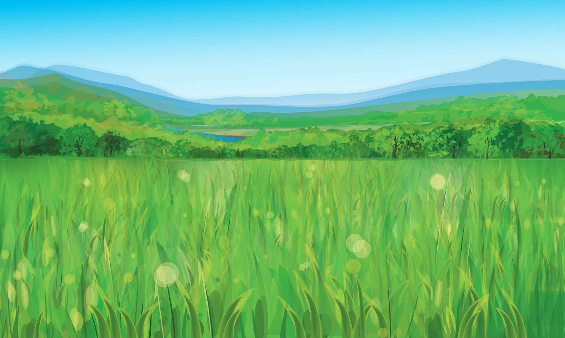 A Breathtaking View of a Lush Green Valley