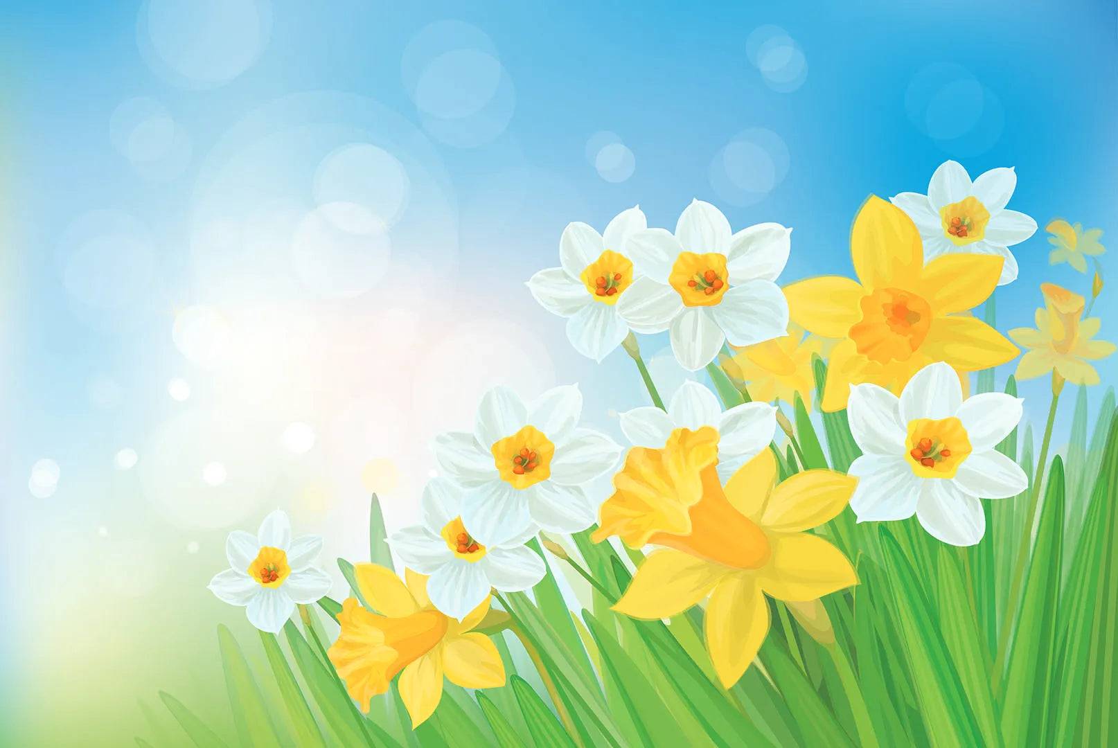 Where Spring Sunshine Always Shines Bright