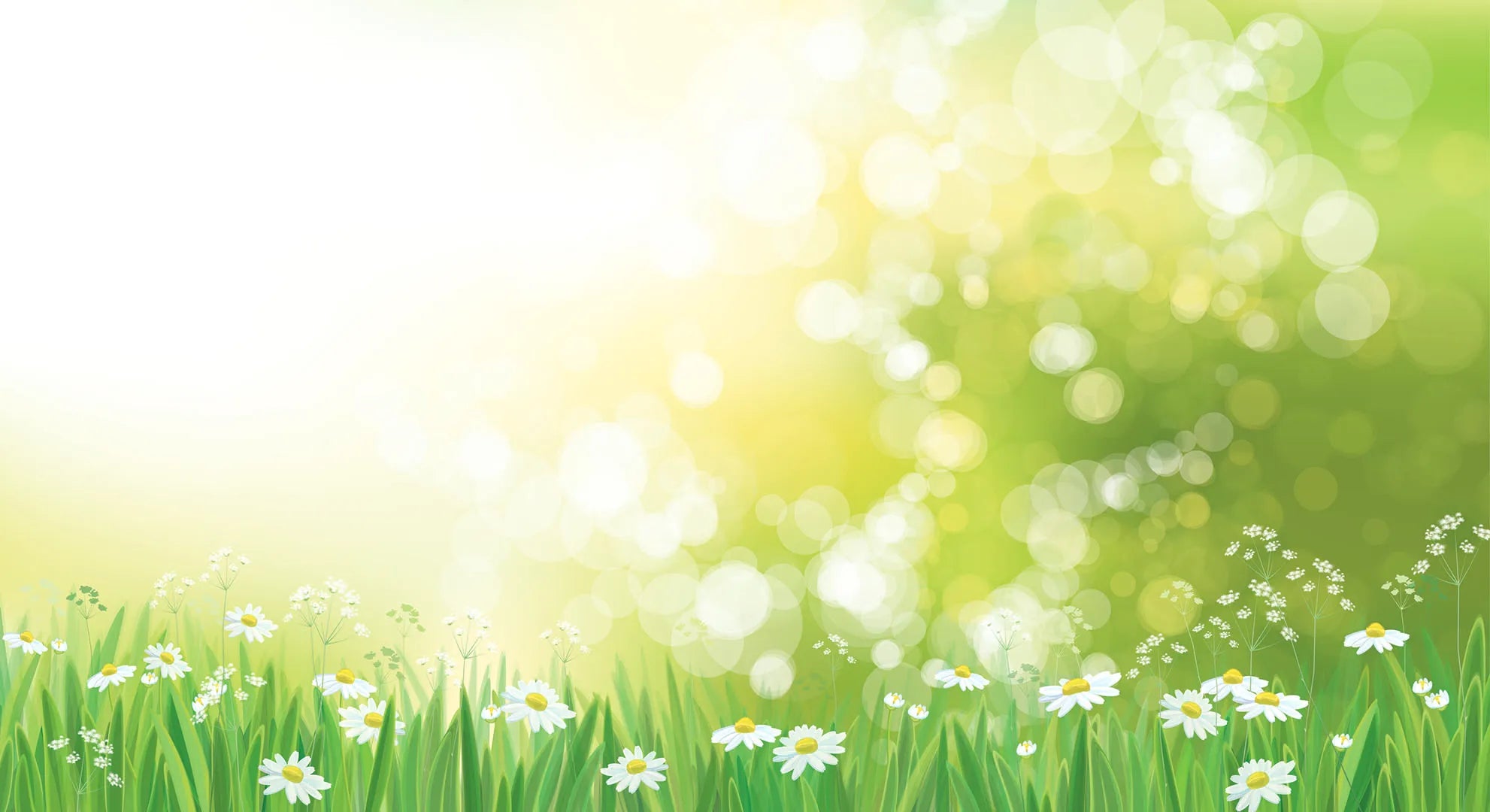 Where the Sun Always Shines on the Daisies