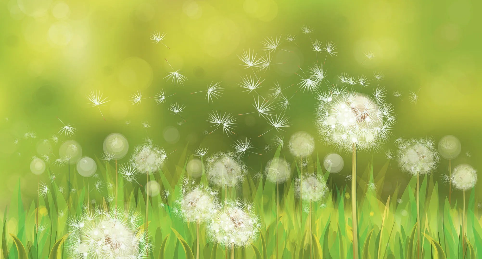 Where a Million Tiny Wishes Take Flight
