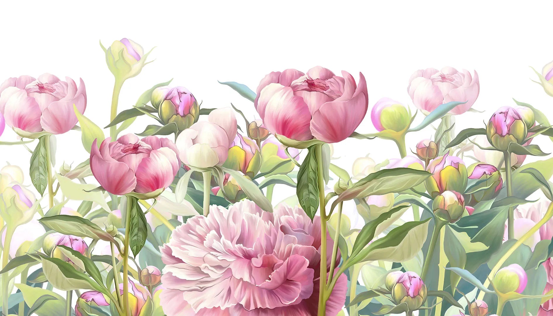 A Garden Where It's Always Time for Peonies