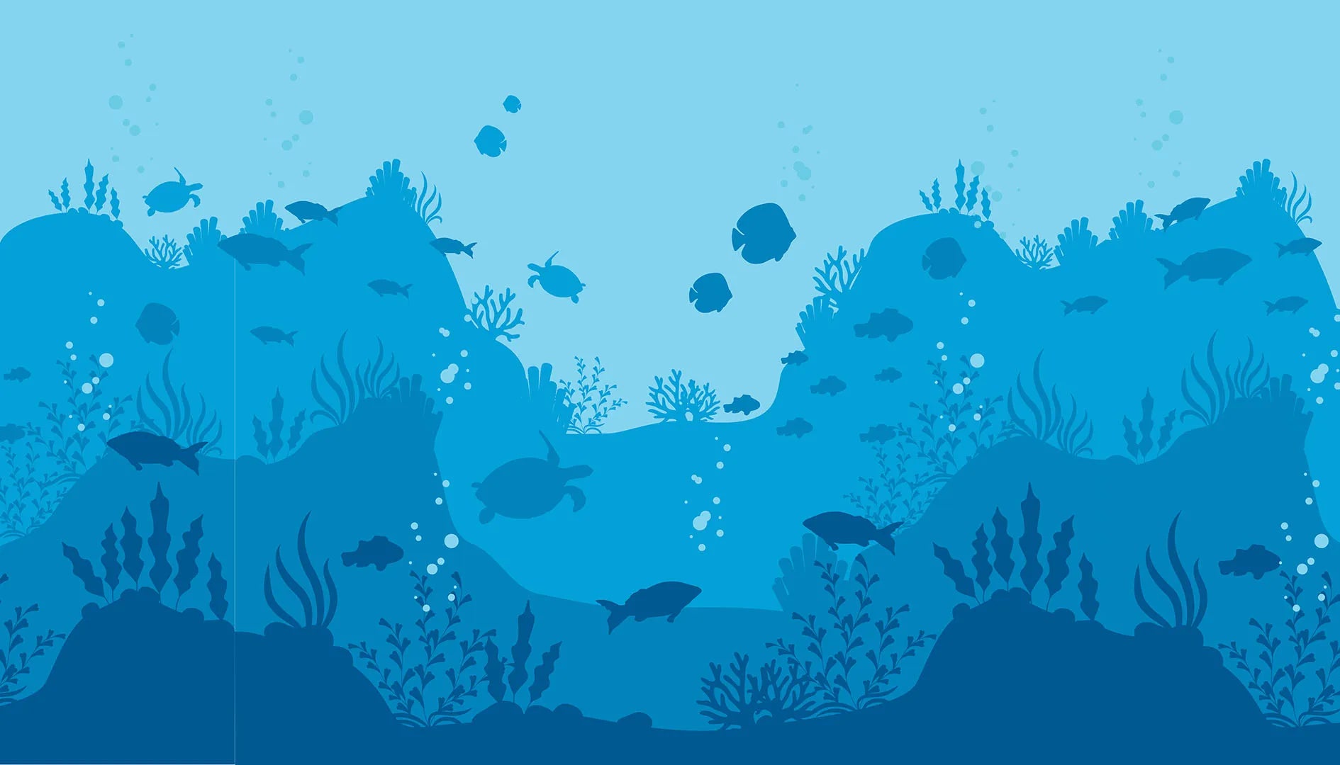 A Silent, Beautiful World Beneath the Waves