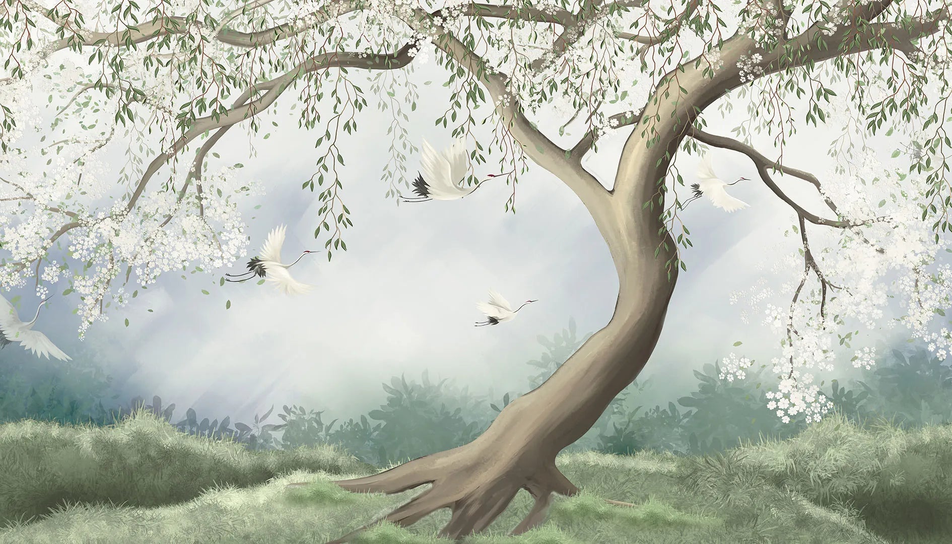 Where Grace and Beauty Take Flight