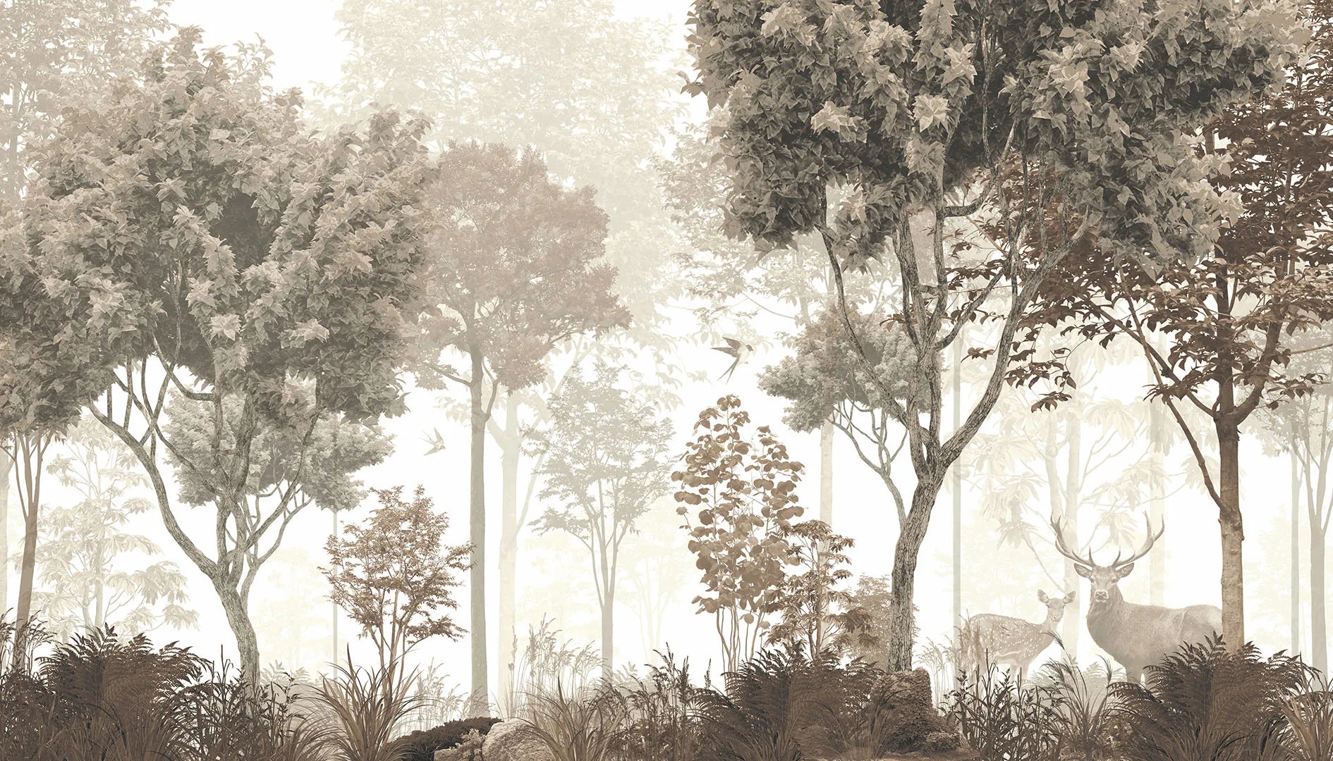 A Quiet Moment as the Forest Wakes