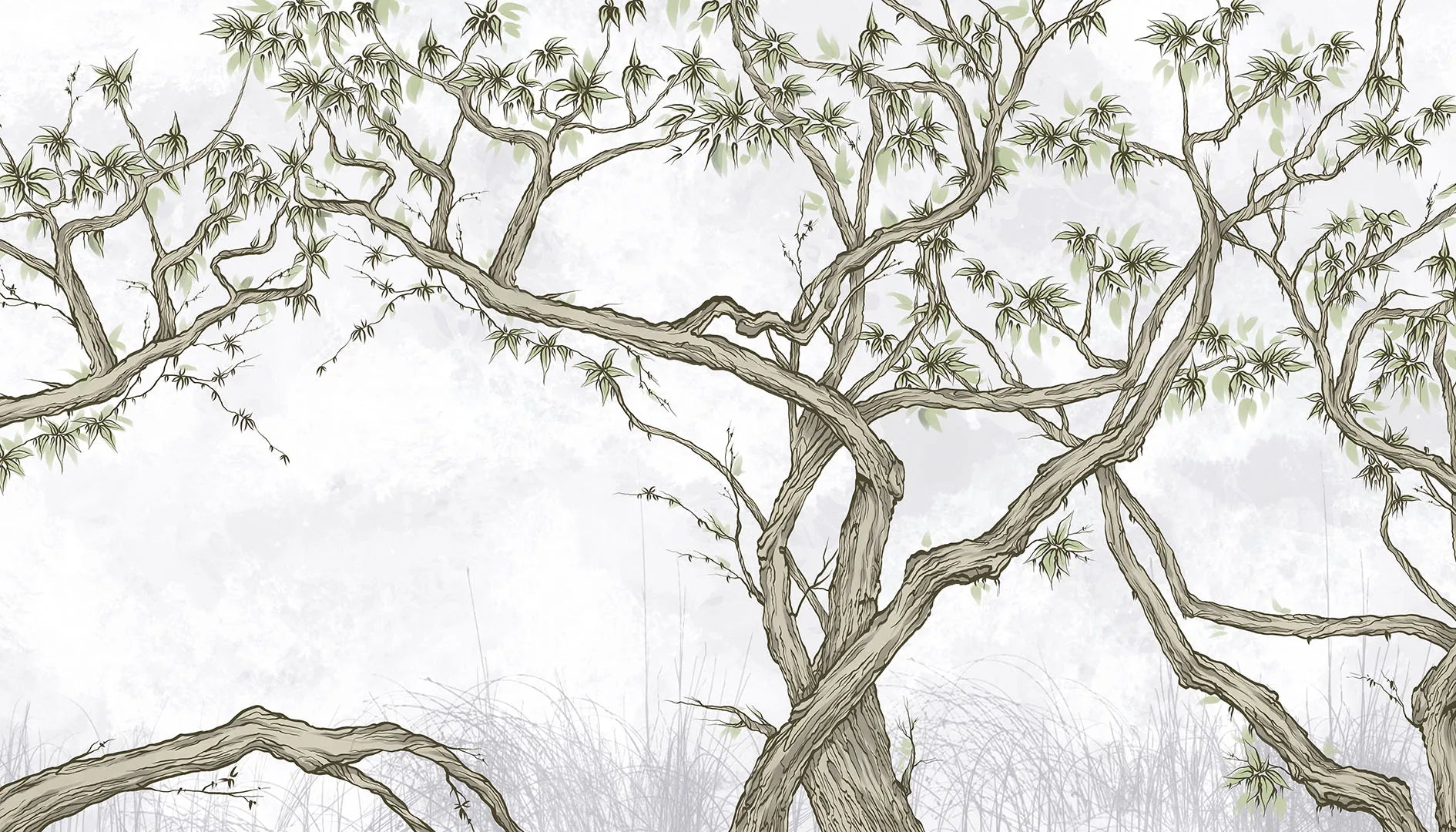 A Peaceful and Mysterious Woodland Escape