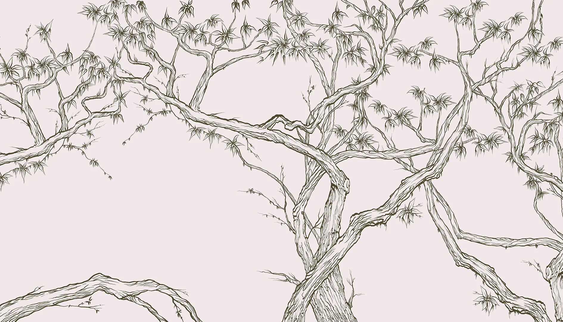 A Gentle Grove of Sleeping Trees