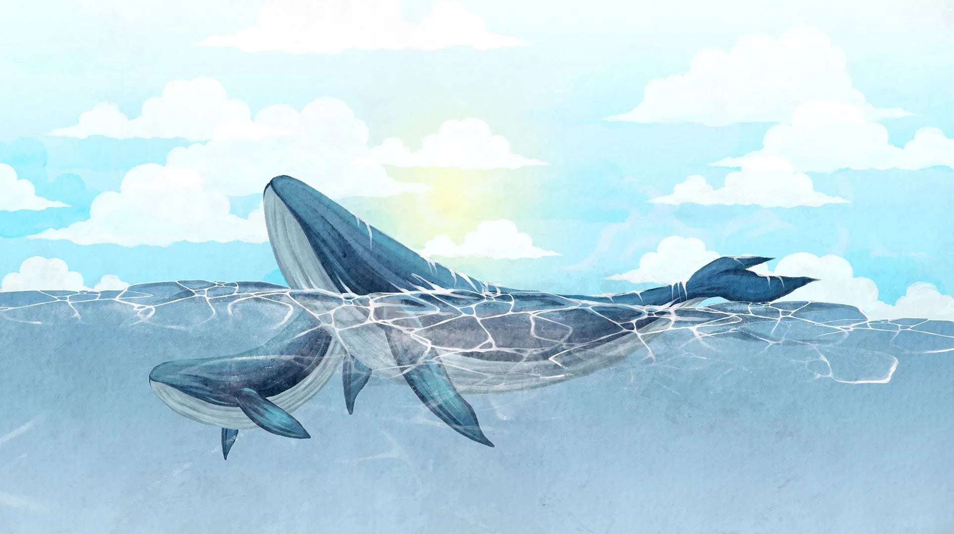 Where a Mama and Baby Whale Greet the Day