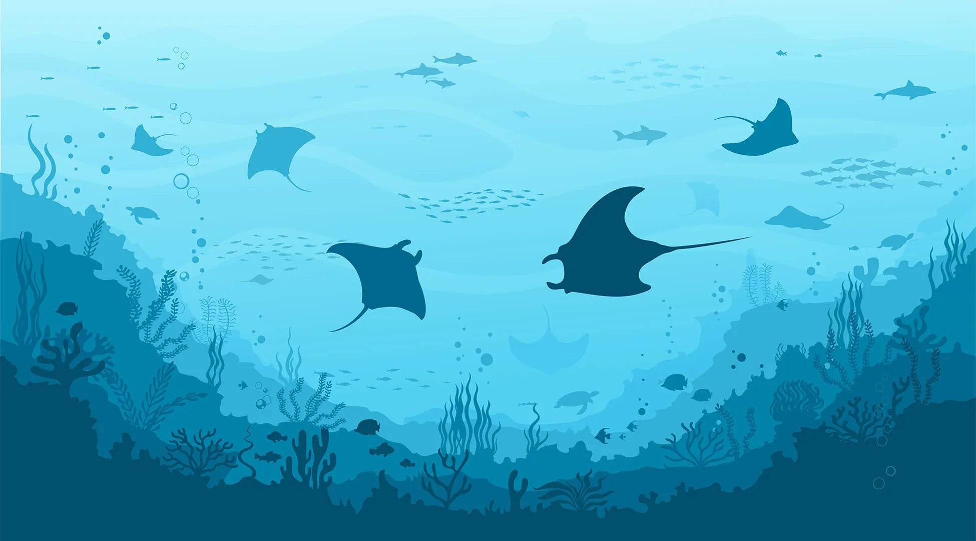 A Silent, Graceful Dance Beneath the Waves