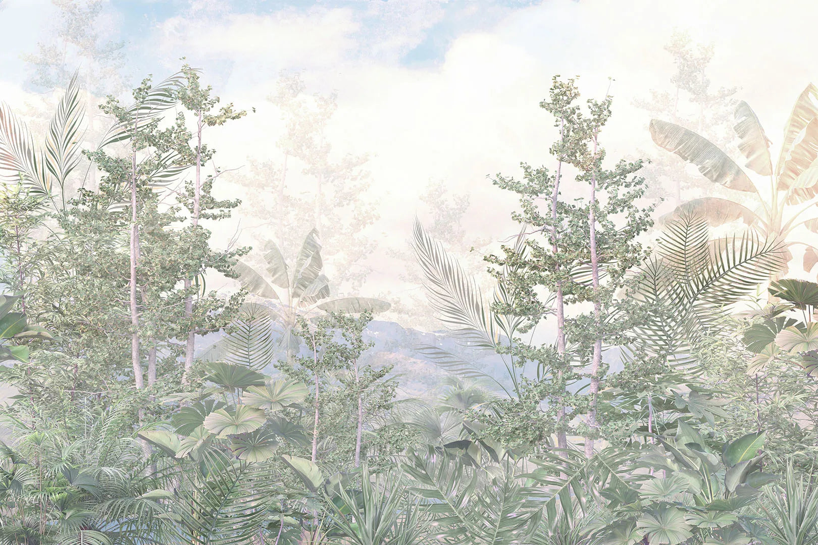 A Dreamy, Light-Filled View of a Lush Paradise
