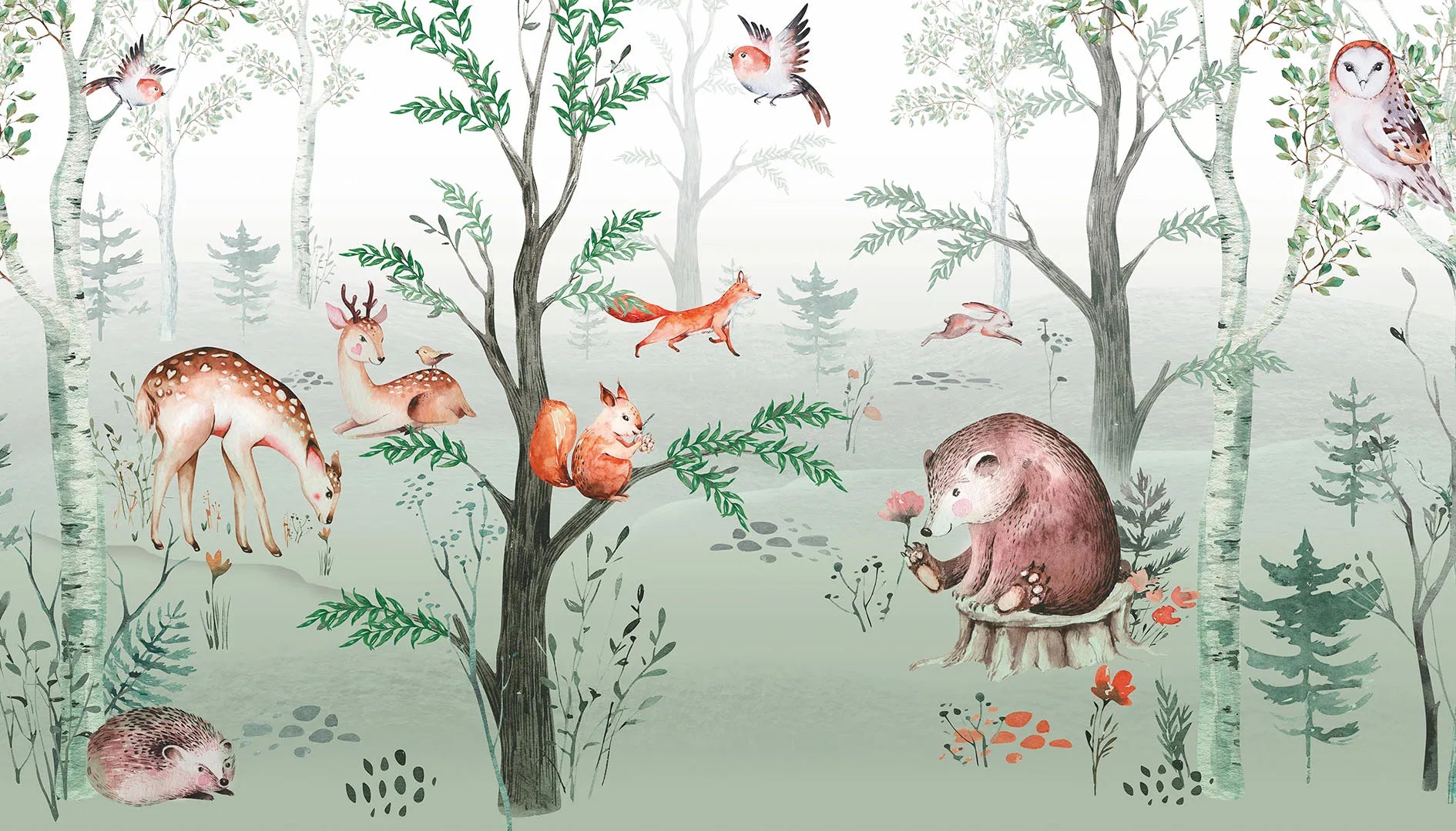 Where all the Woodland Creatures Live in Harmony