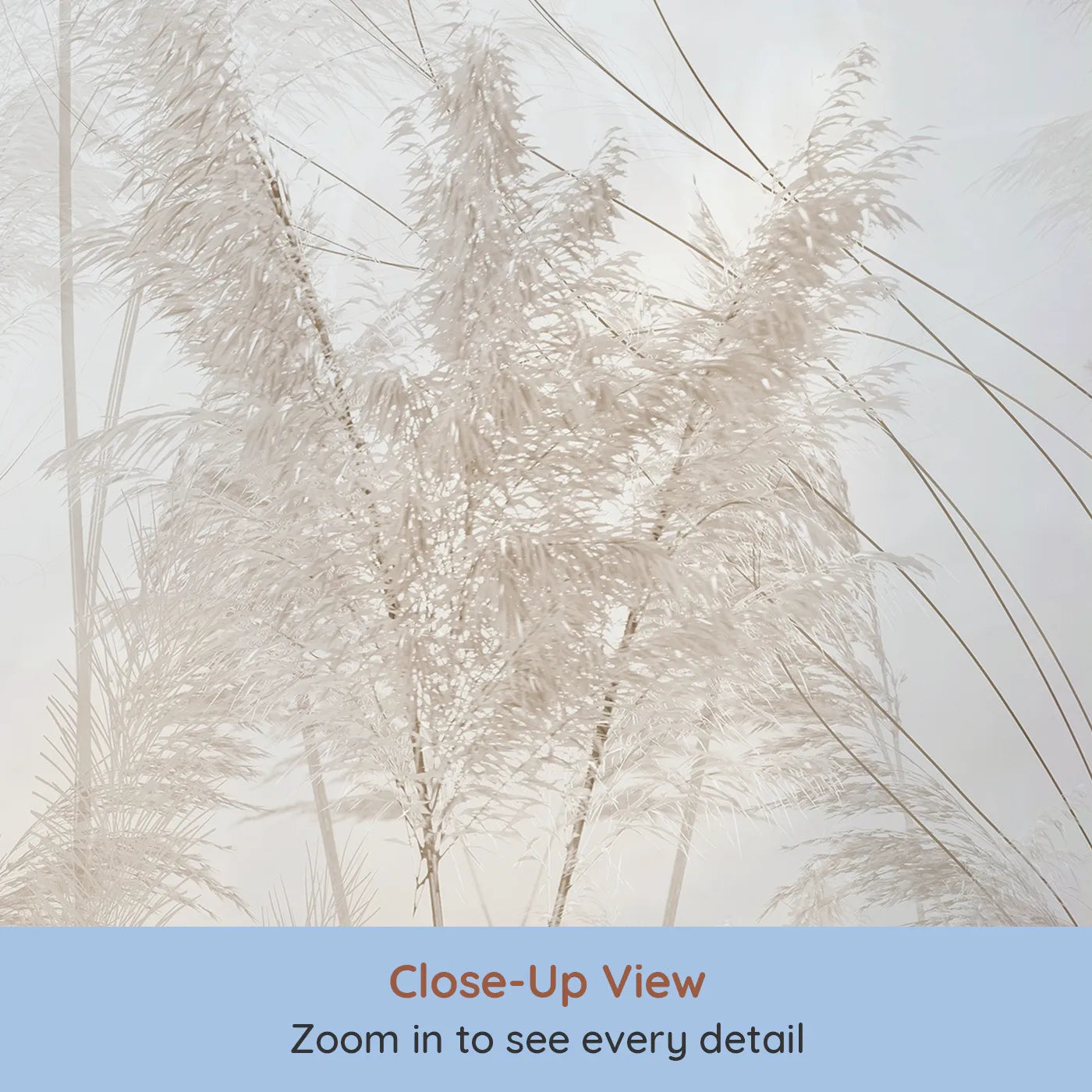 Close-up view of Whimsy Tots' Misty Pampas Grass Wall Mural (Turn Their Room into a Field of Feathery Softness).Gender-Neutral