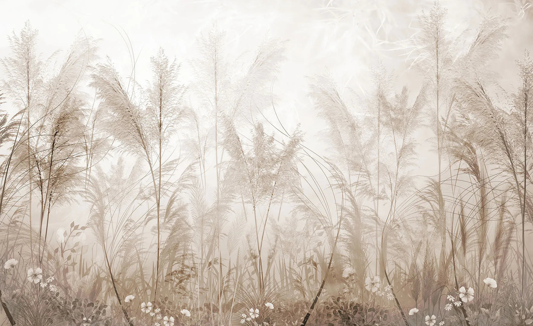 A Soothing Meadow of Feathery Plumes