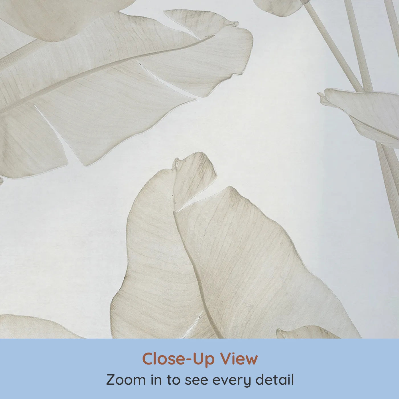 Close-up view of Whimsy Tots' Translucent Banana Leaves Wall Mural (Turn Their Room into a Soft and Leafy Sanctuary).Gender-Neutral