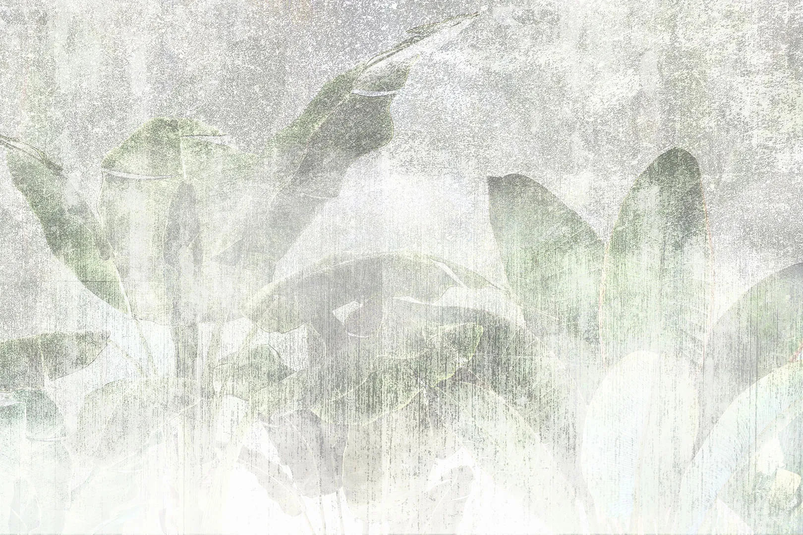 A Dreamy, Sun-Bleached Jungle Canopy