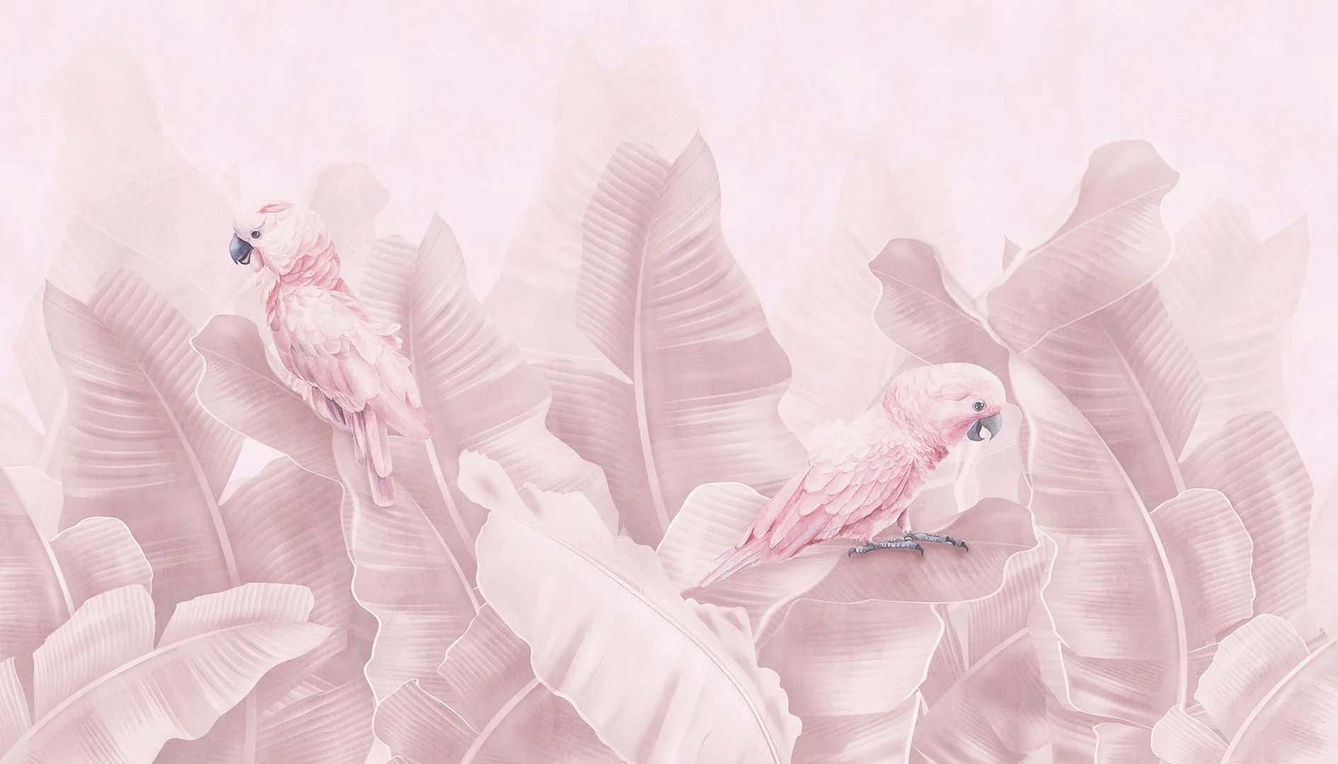 A Gentle, Monochromatic World of Tropical Romance