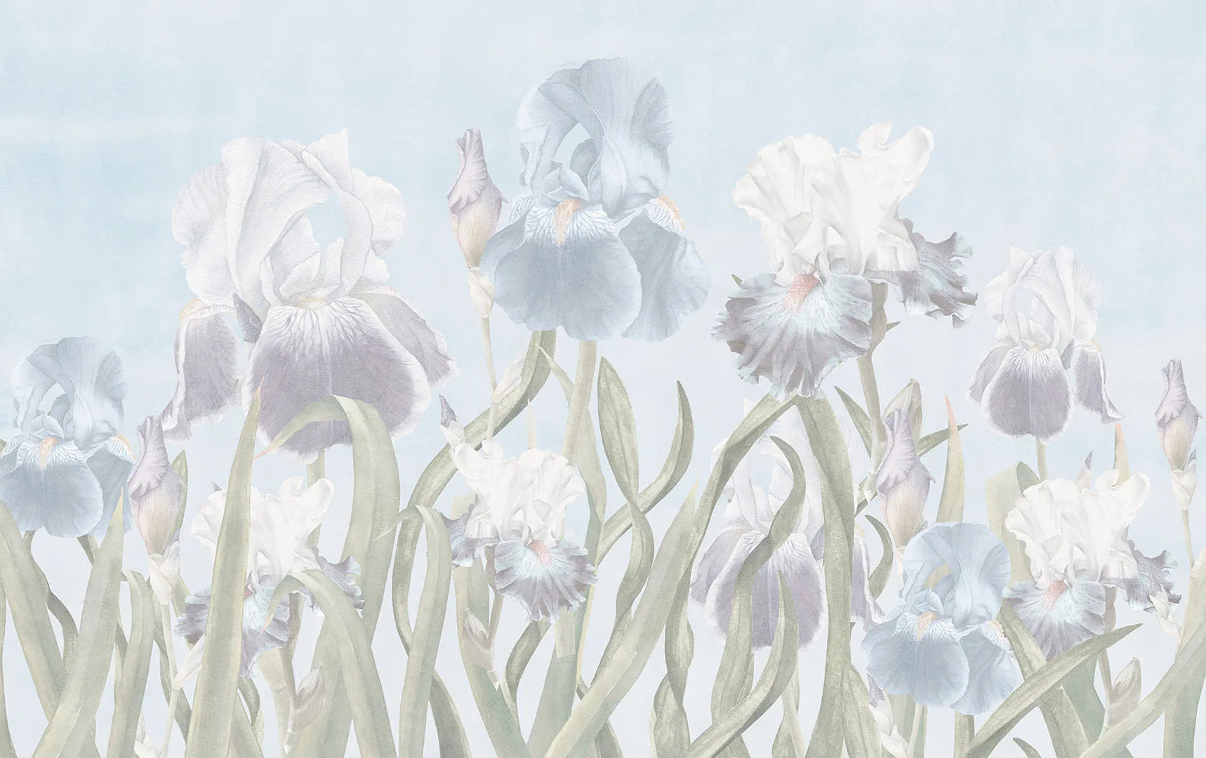 A Place of Soft Color and Timeless, Painterly Beauty