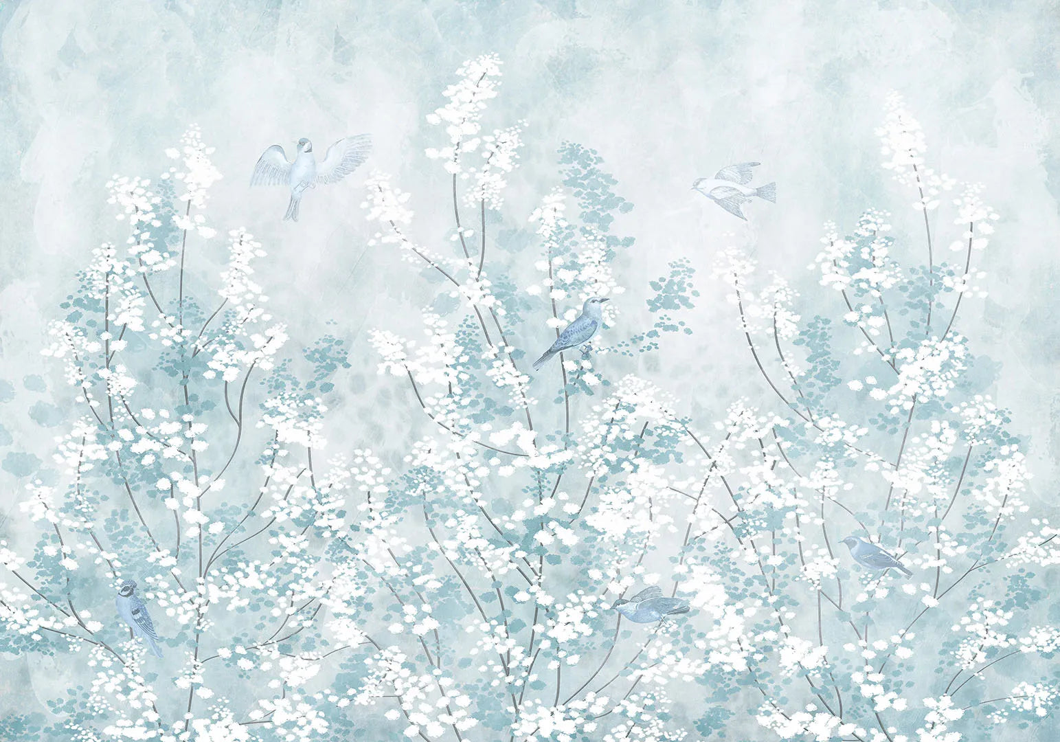 A Place Where Winter's Chill is Full of Gentle Beauty