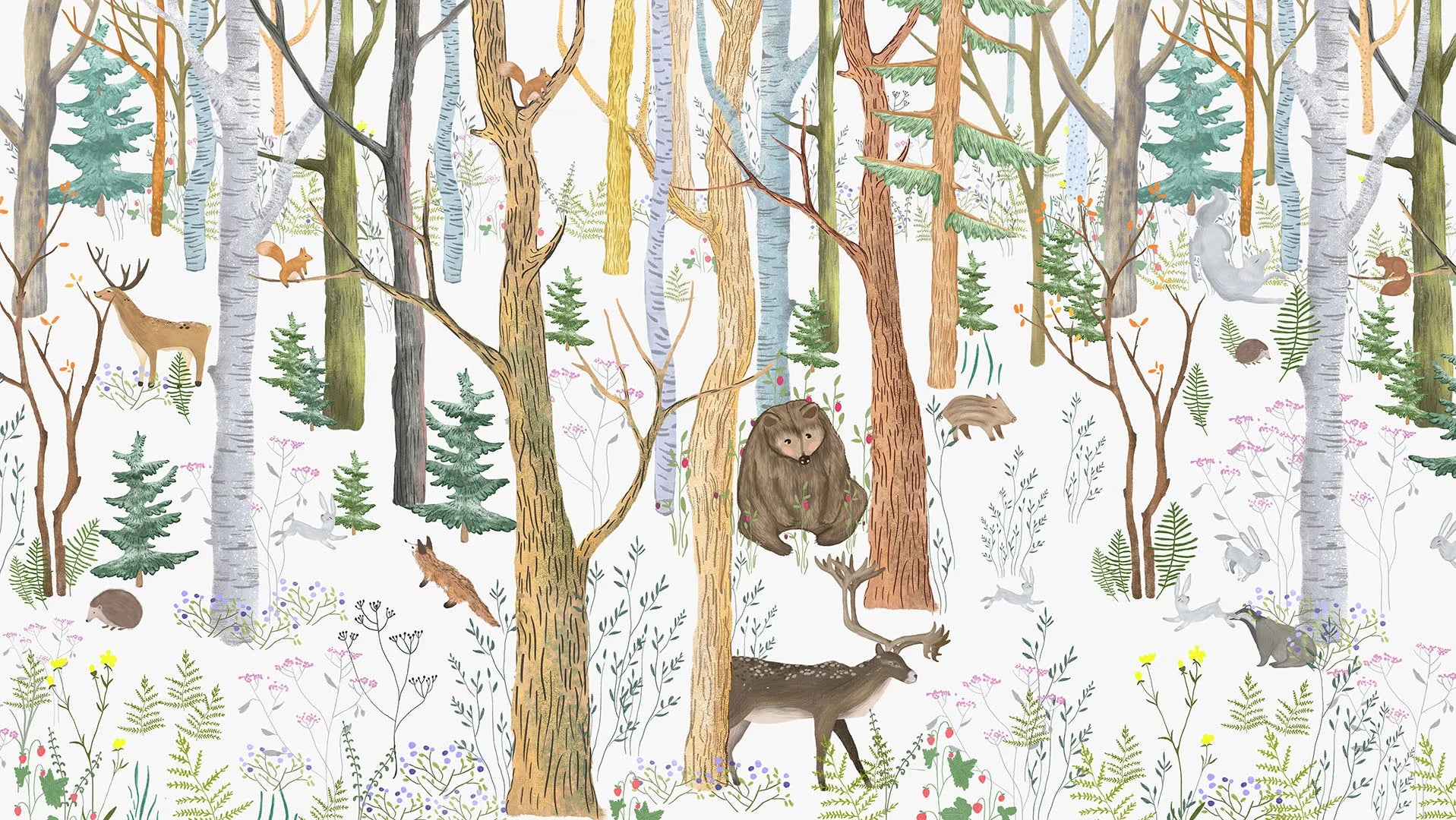 A Place of Gentle Stories and a Thousand Forest Friends