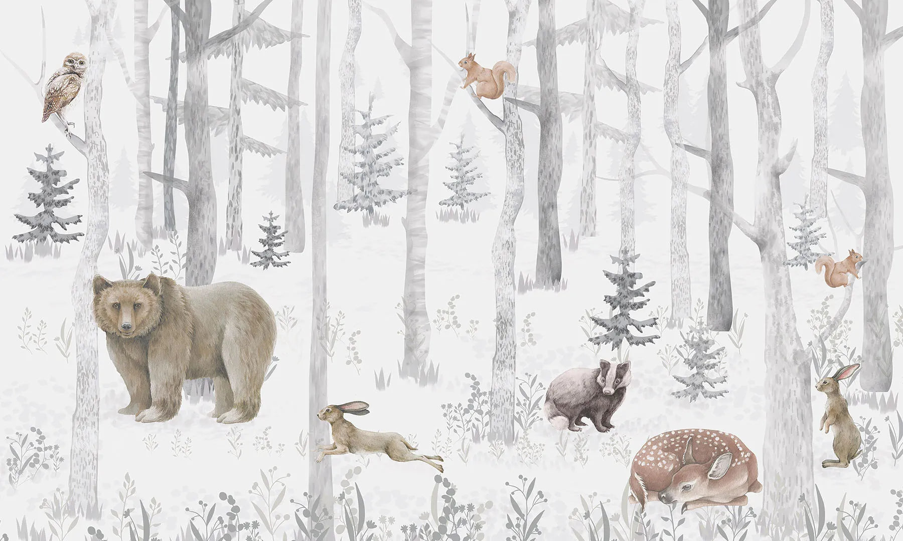 A Place of Stillness, Friendship, and Winter's Quiet Magic