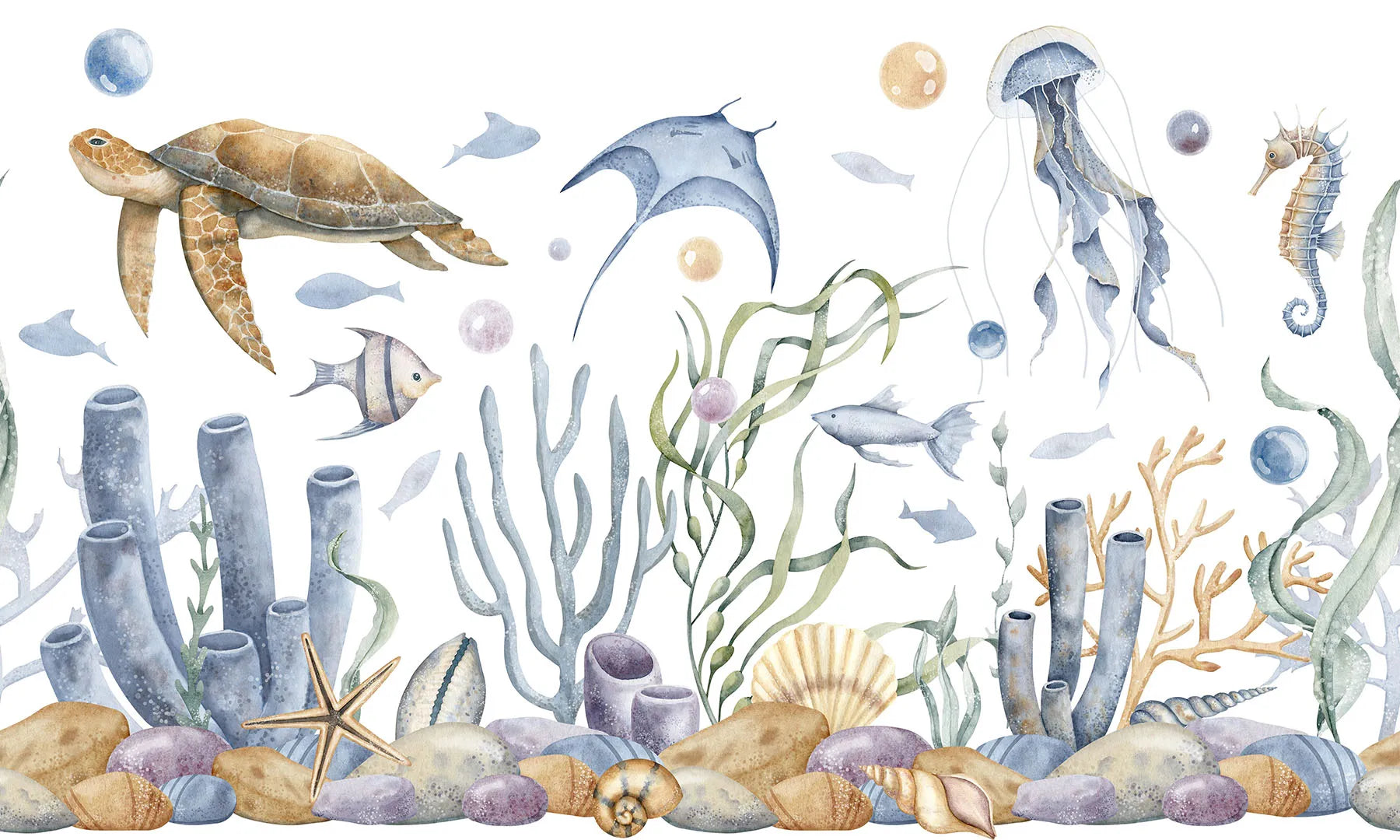 A Calm and Artistic Journey Beneath the Waves
