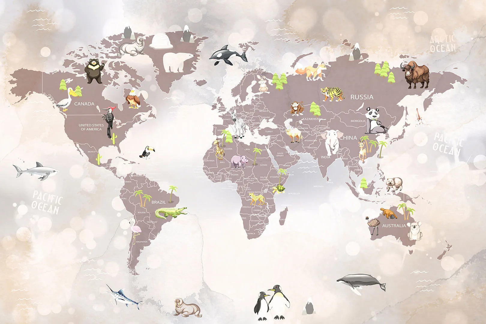 A Whimsical, Educational Journey for a Little Dreamer