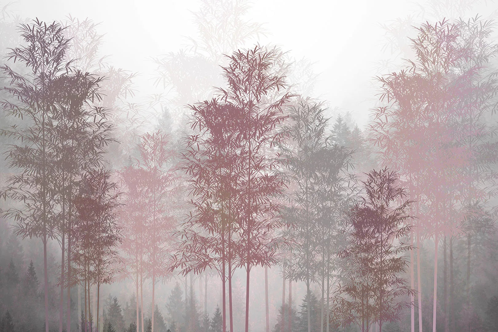 A Place of Gentle, Modern Beauty and Quiet Dreams