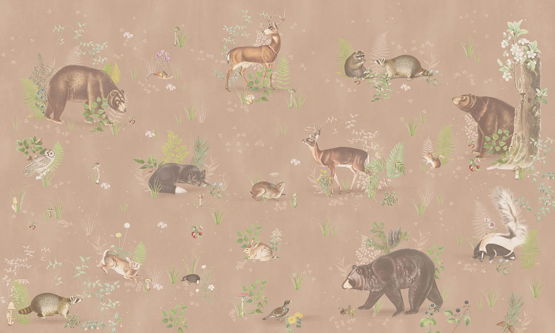 A Timeless, Educational Gathering of Forest Friends