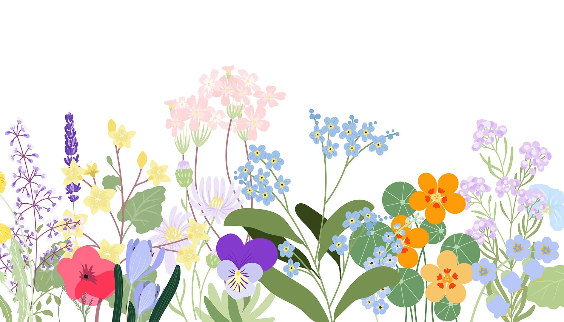 A Cheerful Place Where Simple Flowers Grow