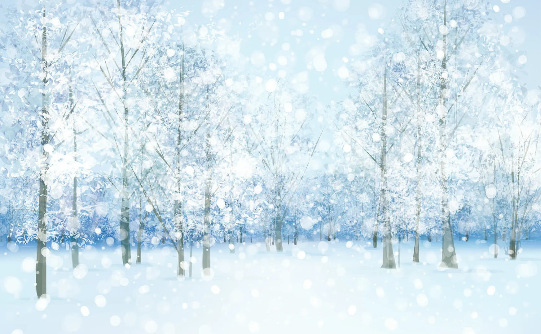 A Place of Stillness, Magic, and Winter's Quiet Beauty