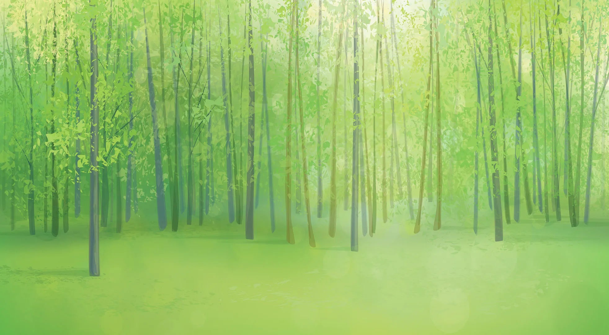A Place of Fresh Green Leaves and Warm, Golden Sunshine