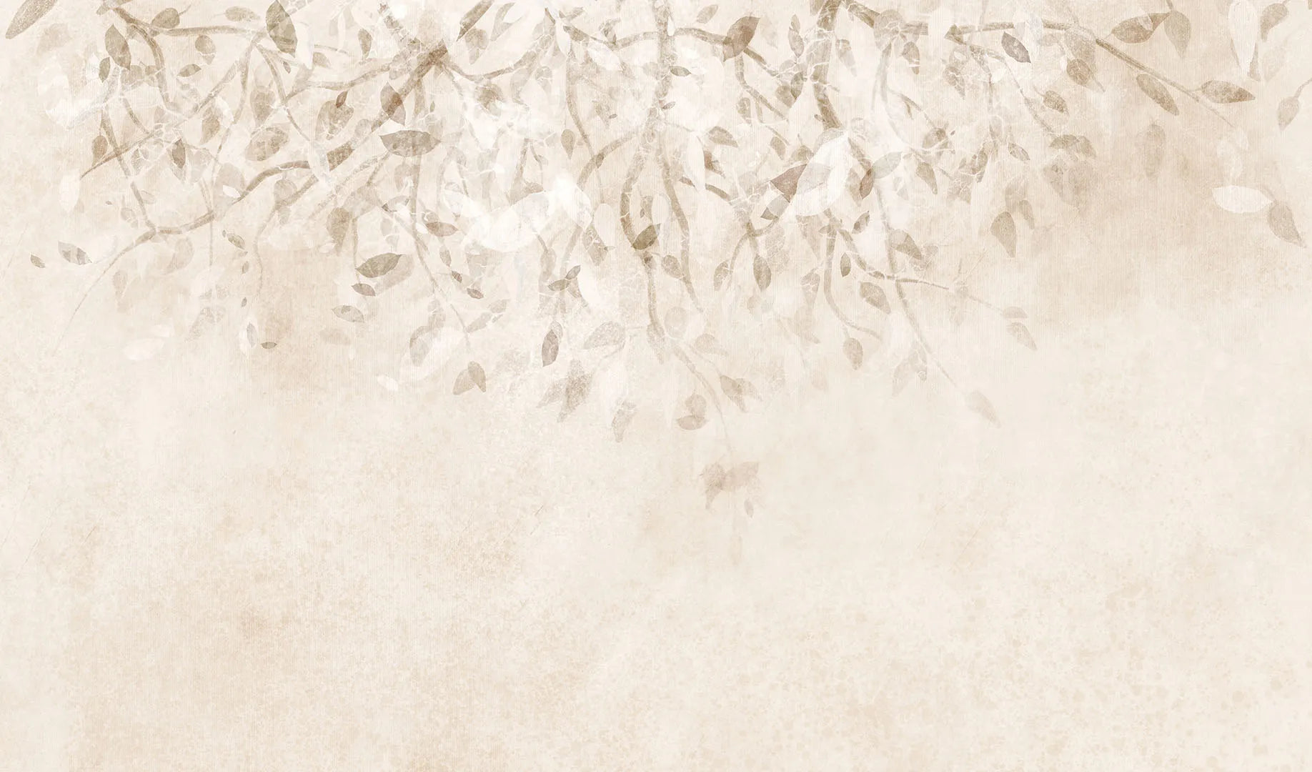 A Place of Warm, Gentle Light and Natural, Abstract Beauty