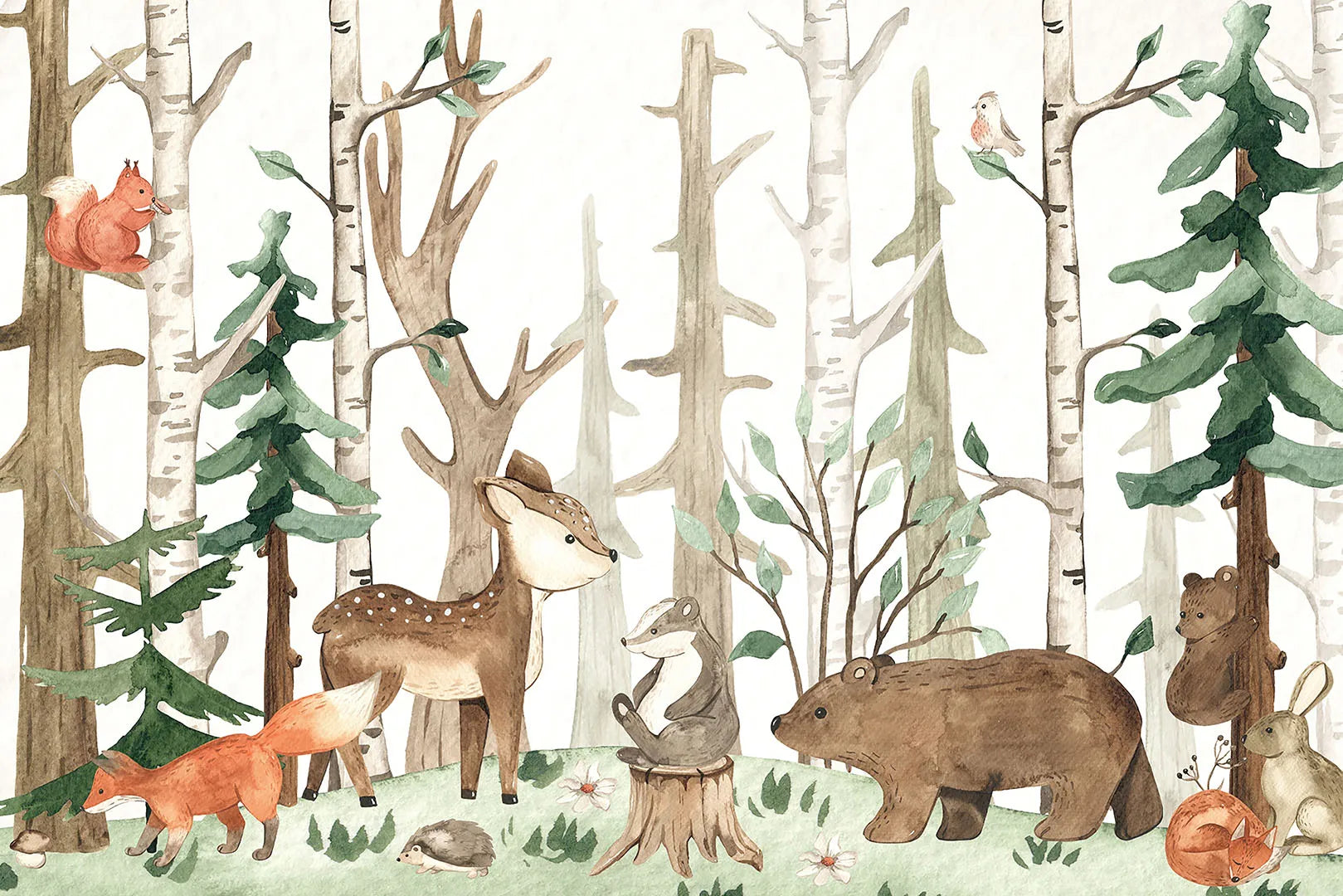 A Place of Gentle Stories and Sweet, Natural Beauty