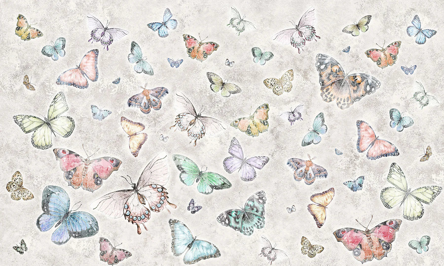A Place Where a Hundred Beautiful Butterflies Come to Rest