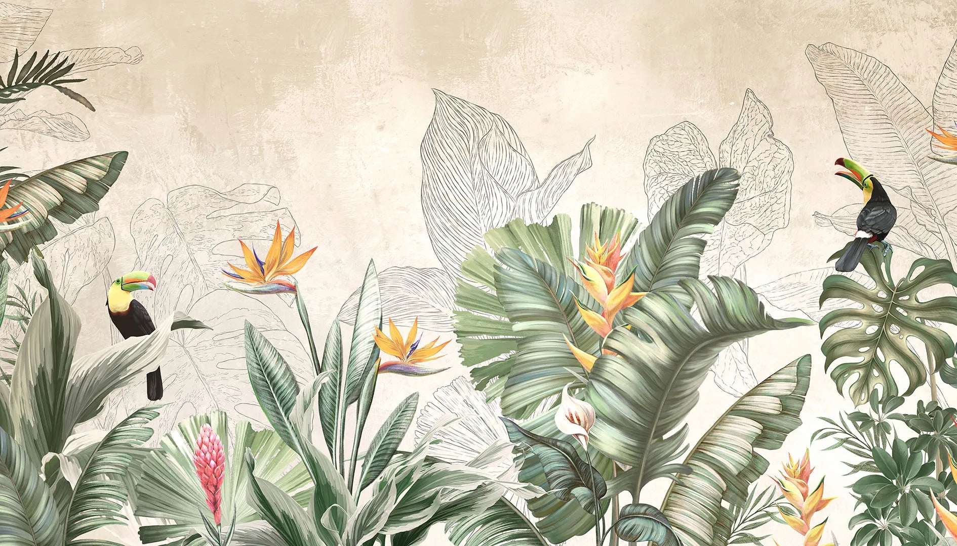 A Place of Vibrant Color and Lively, Tropical Beauty