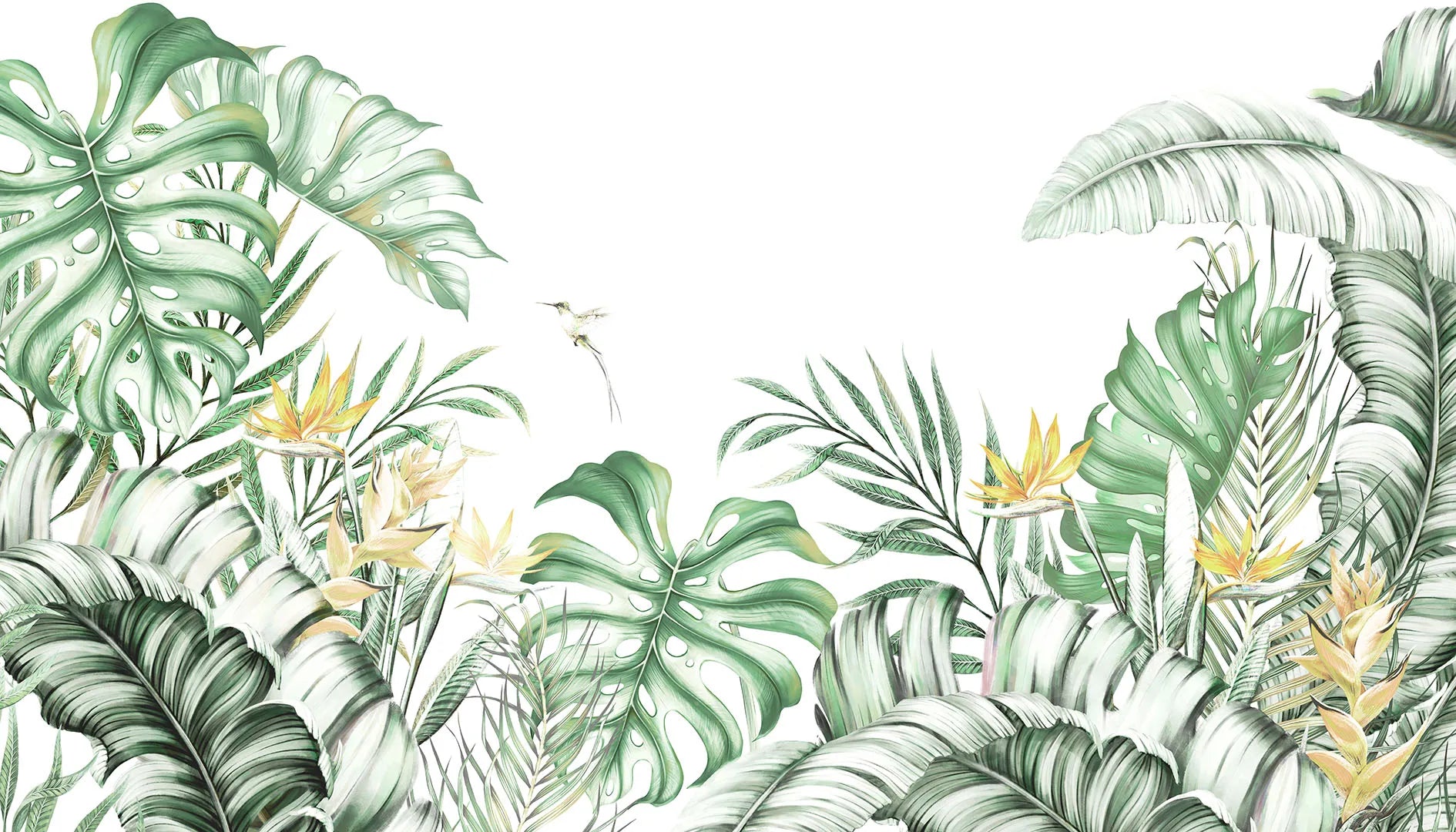 A Place of Vibrant Color and Lively, Tropical Beauty