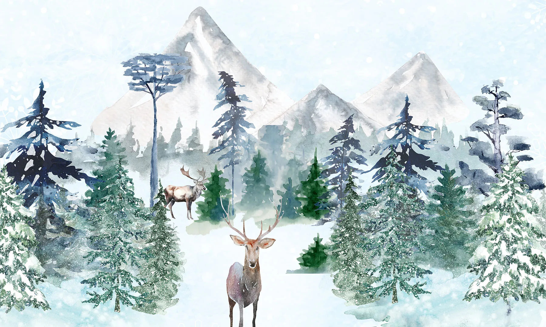 A Place of Stillness, Magic, and Winter's Quiet Beauty