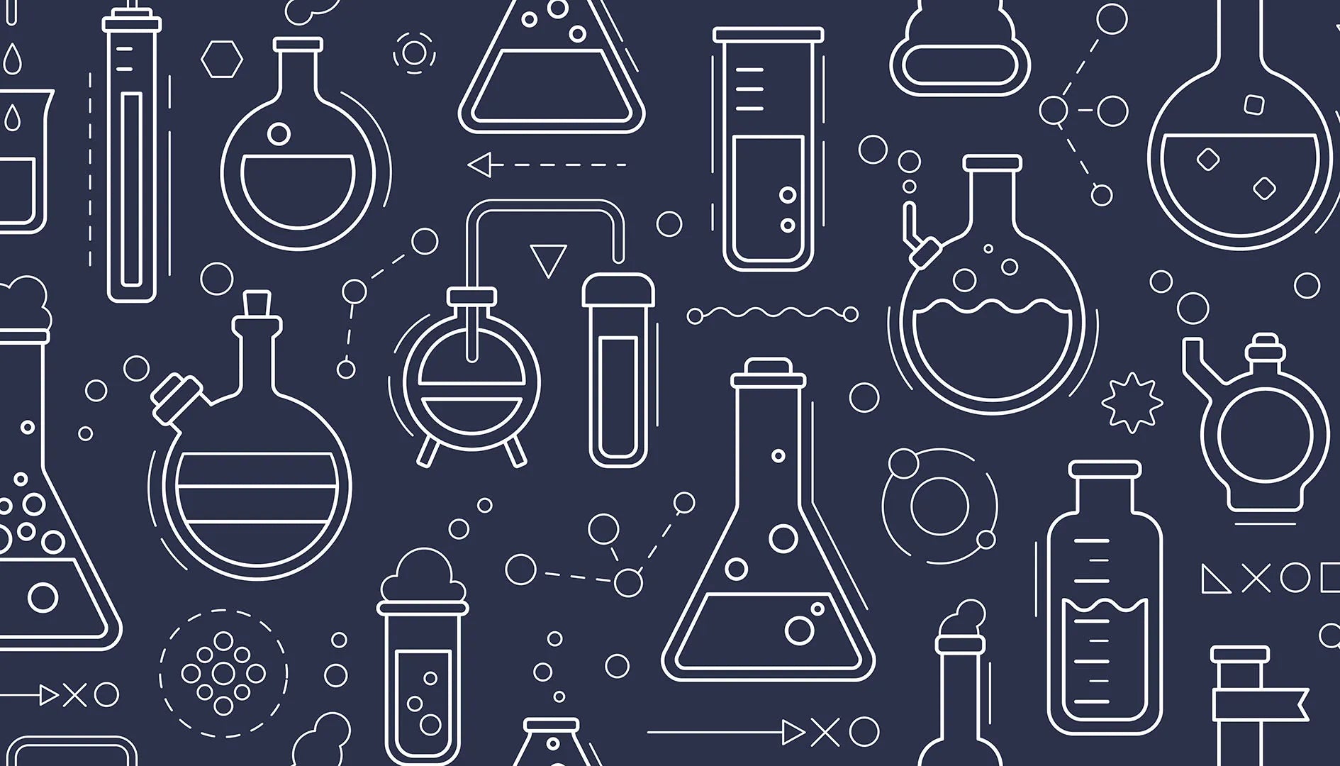 A Place Where Big Ideas and Bright Minds Grow
