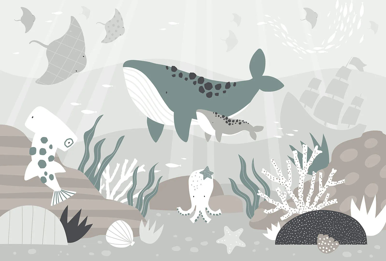 A Quiet, Minimalist World of Ocean Wonders