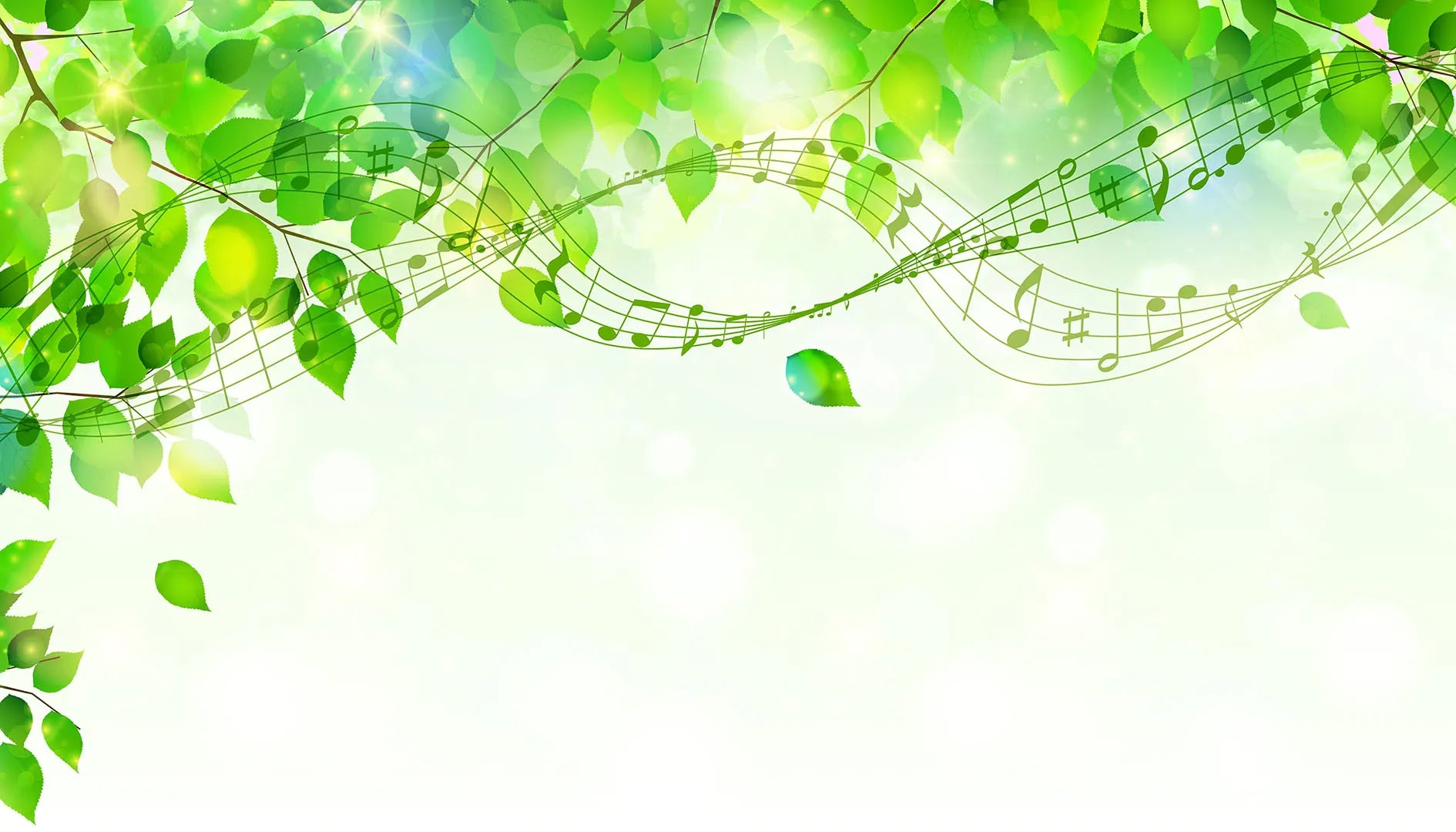 Where Nature and Music Dance in the Air