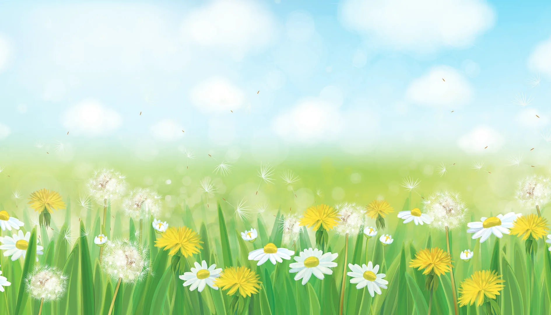 Where Summer Days and Gentle Wishes Last Forever