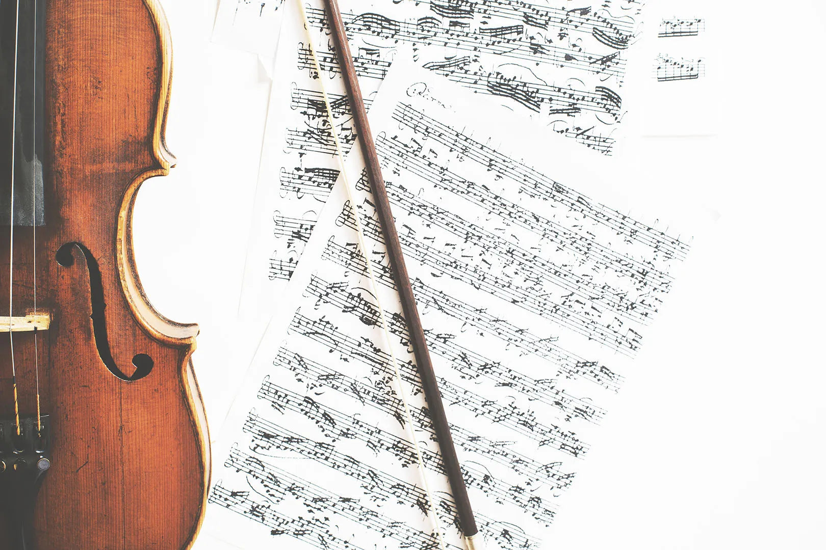 A Place of Timeless Artistry and a Love for Music