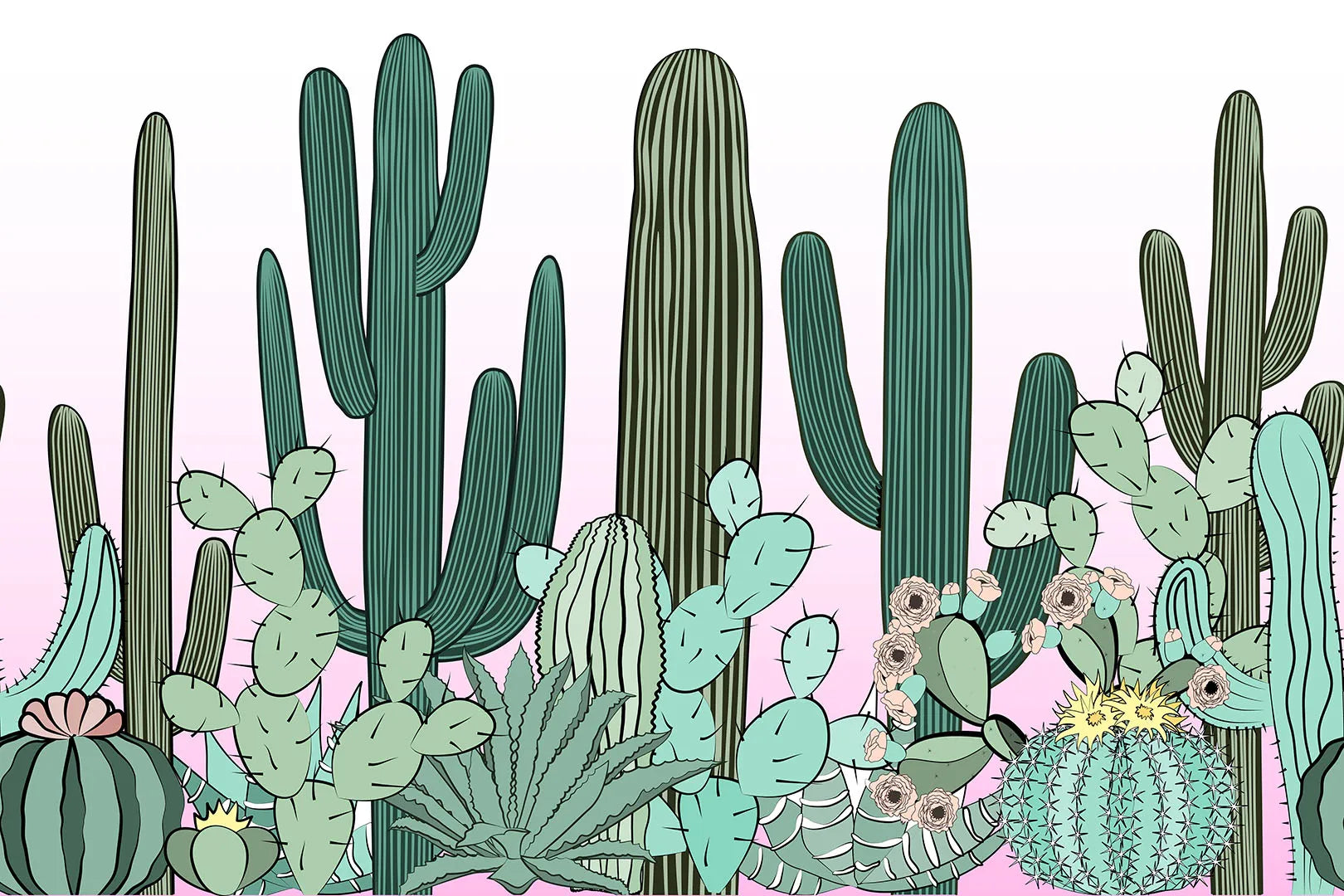Where a Friendly Desert Garden Grows