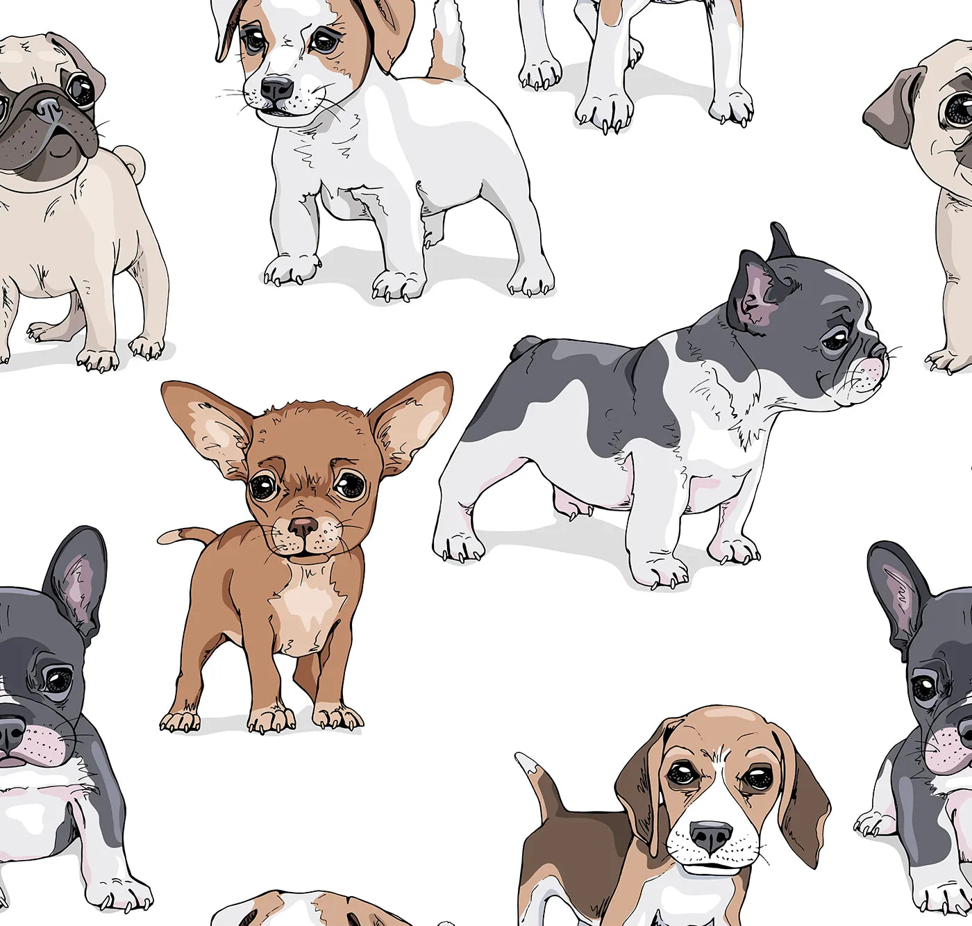 Where Every Pup is the Best in Show