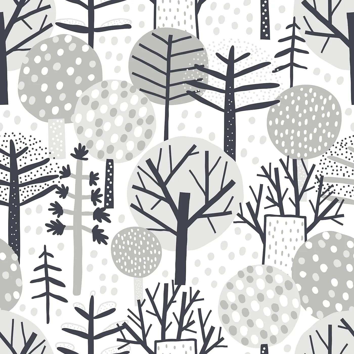A Quiet Walk Through a Snowy, Silent Wood