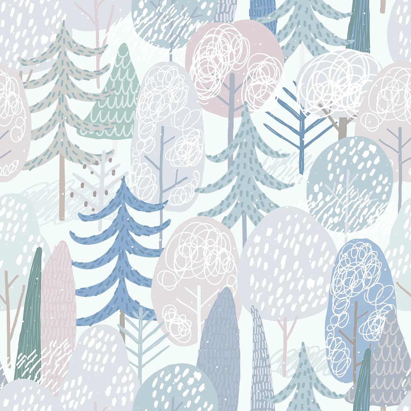 A Quiet Walk Through a Colorful Frost