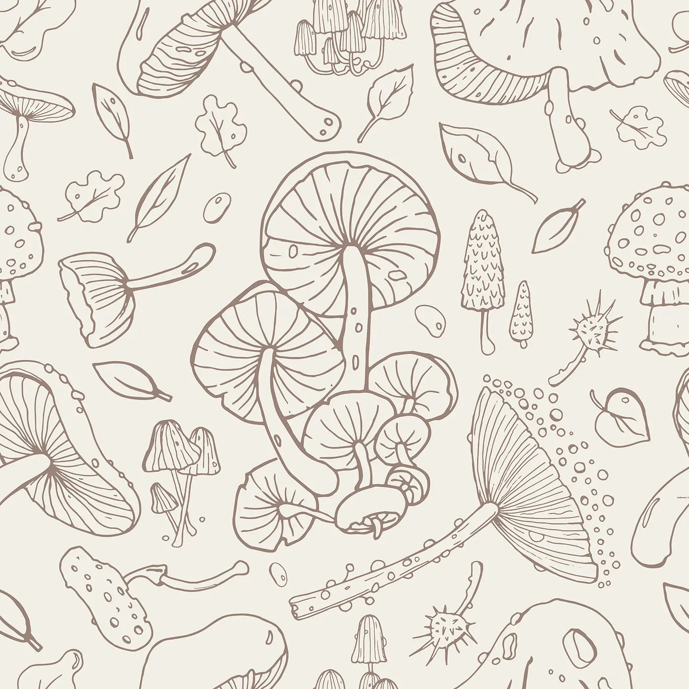 A Detailed Drawing of the Forest Floor
