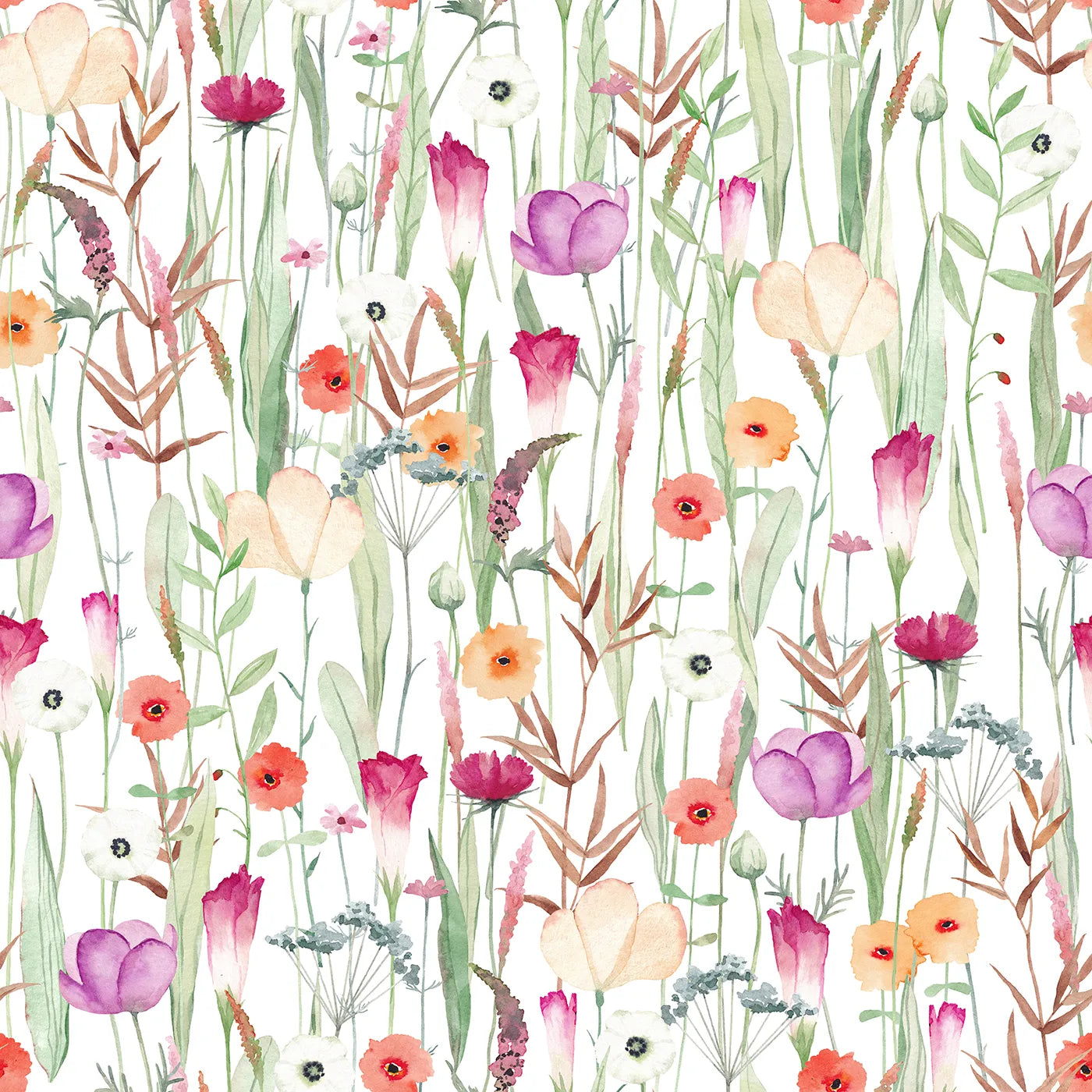 A Symphony of Color from a Summer Field
