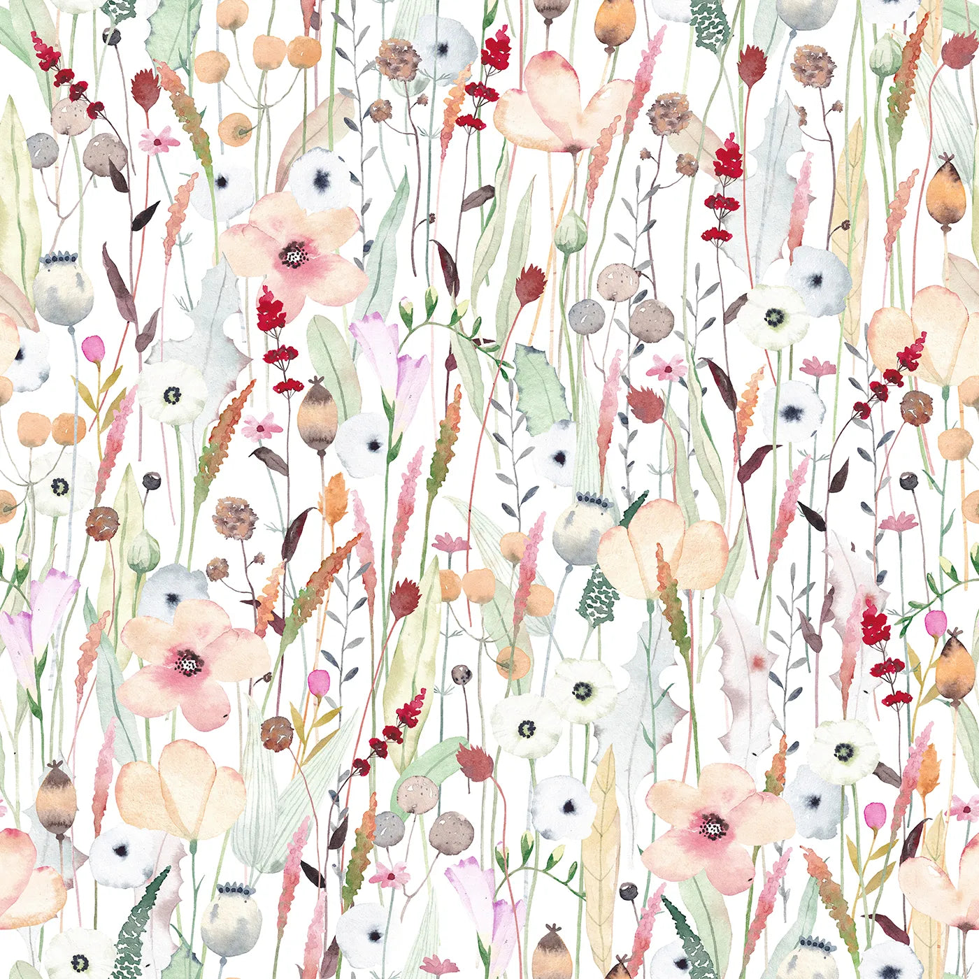 A Quiet Meadow of Painted Petals